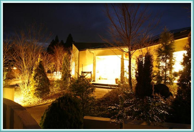 �y�{�̖��o������ށz